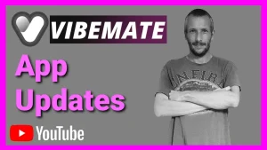 Lovense Partners With Vibemate Update