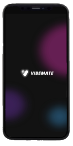 alt="VibeMate App"