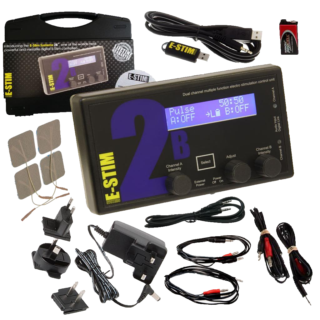 alt="E-Stim Systems 2B and Accessories"