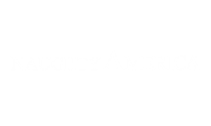 alt="Naughty America"