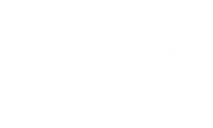 Svakom