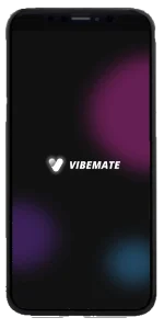 VibeMate App