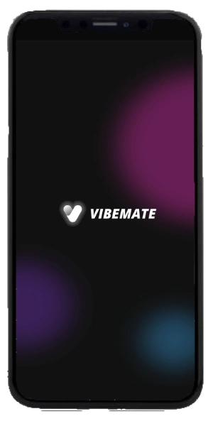 VibeMate App