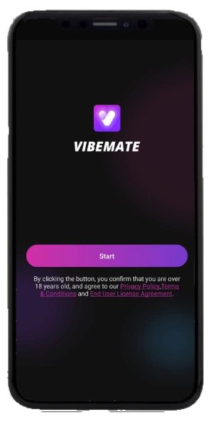 VibeMate Start Page