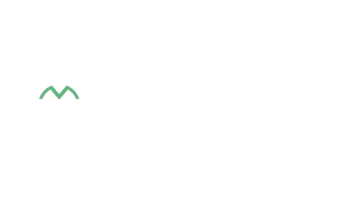 Motsutoys