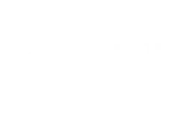 RealDoll White Logo