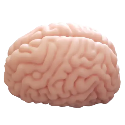 Brain Hacker DX Onahole Review 8 Brain Hacker DX Side Onahole Motsutoys