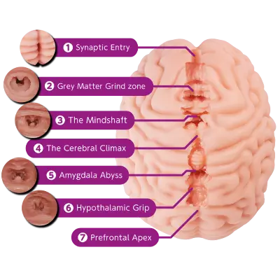 Brain Hacker DX Onahole Review 9 Brain Hacker DX Onahole Tunnel